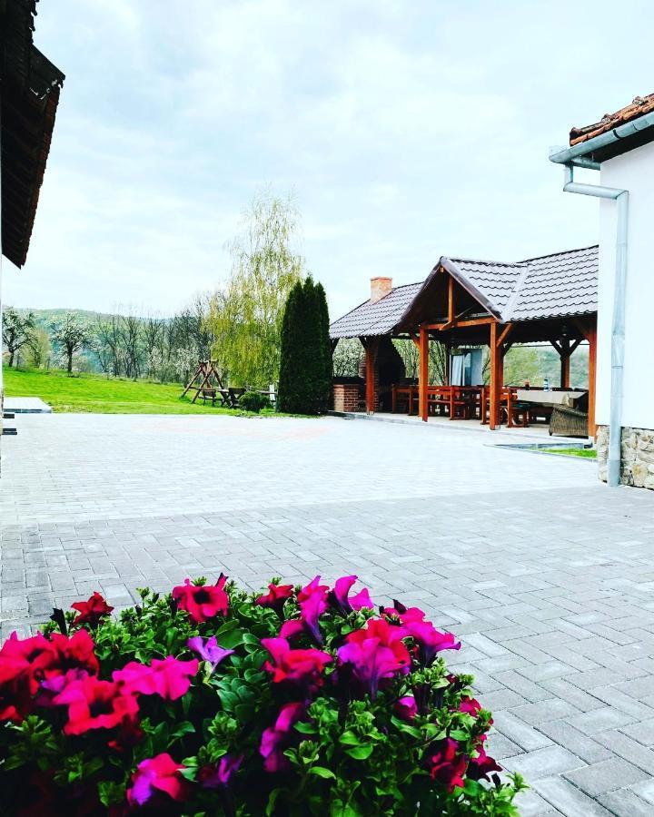 Pensiunea Turistica Retreat Belvedere Vadu Crisului Extérieur photo