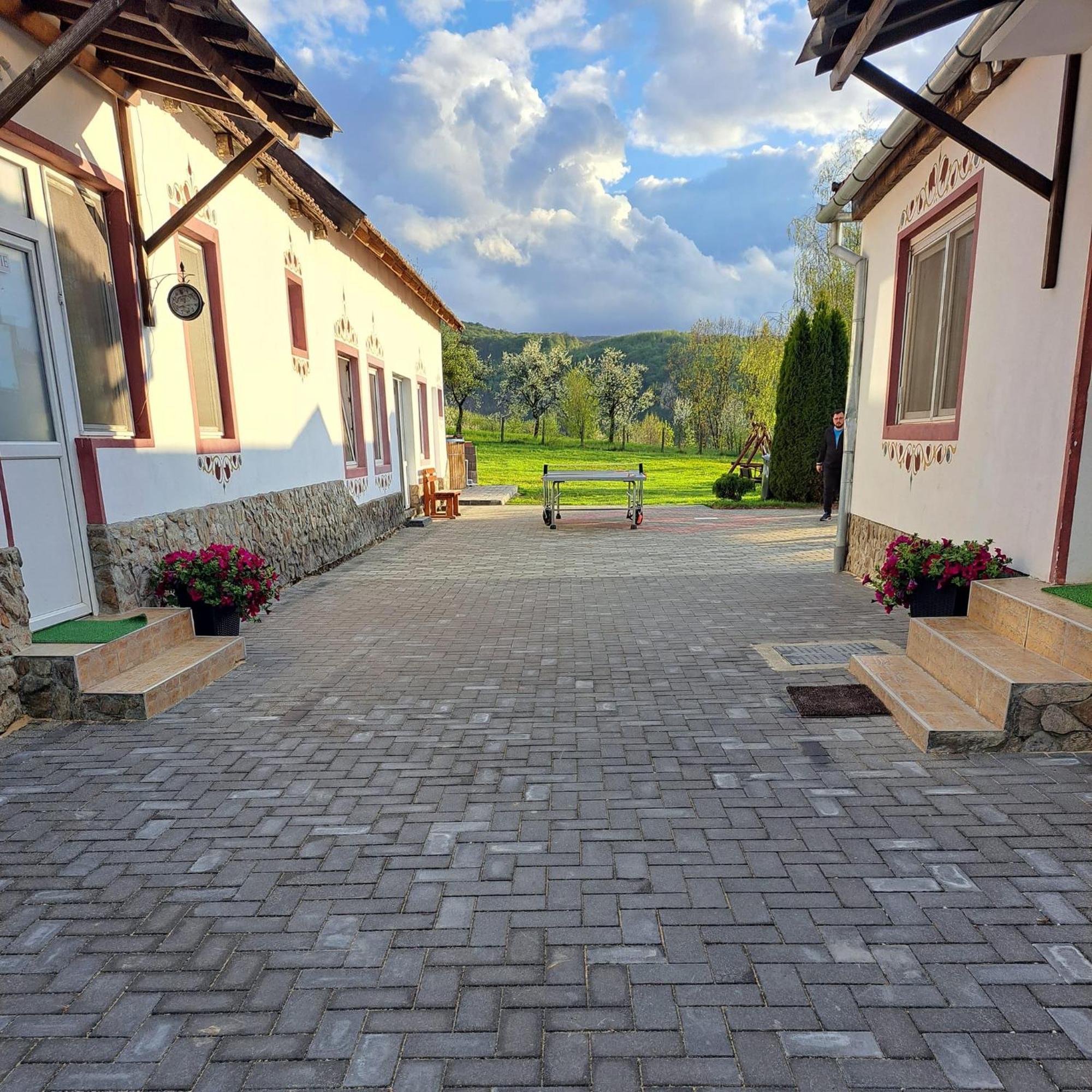 Pensiunea Turistica Retreat Belvedere Vadu Crisului Extérieur photo