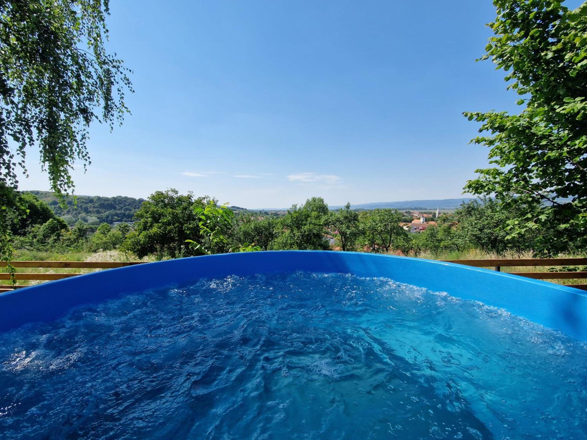Pensiunea Turistica Retreat Belvedere Vadu Crisului Extérieur photo